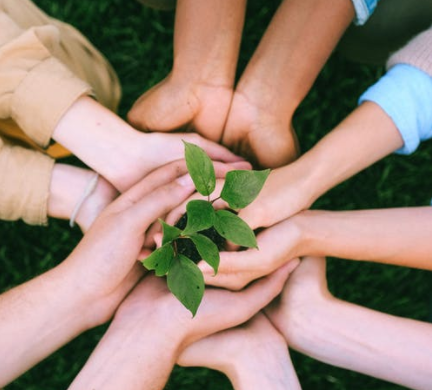全家動員服事去